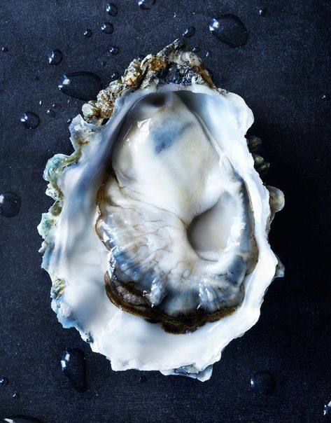 Oyster Classic Life, Wedding Style Inspiration, Oyster Bar, Amazing Pictures, Wedding Bar, Oyster Shell, Photographing Food, Patterns In Nature, Style Classic