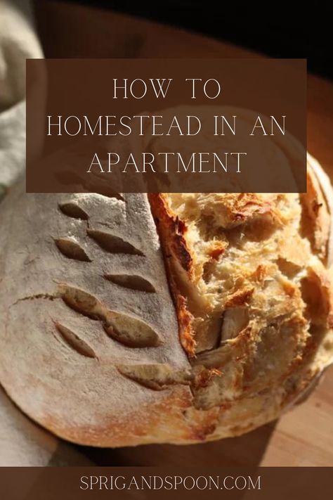 Simple Homesteading, Homestead Apartment, Living In An Apartment, Homesteading Life, Modern Homesteading, Homestead Farm, Raising Backyard Chickens, Urban Homesteading, The Simple Life