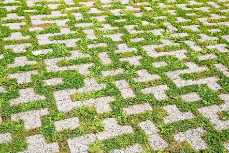 A Grass Driveway Can Benefit Curb Appeal and the Environment - Bob Vila Grass And Brick Driveway, Brick Grass Driveway, Stone And Grass Driveway, Driveway Grass Pavers, Driveable Grass Driveway, Driveway Alternatives Cheap, Grass Driveway Ideas, Driveway Ideas On A Budget, Driveway Drainage Solutions