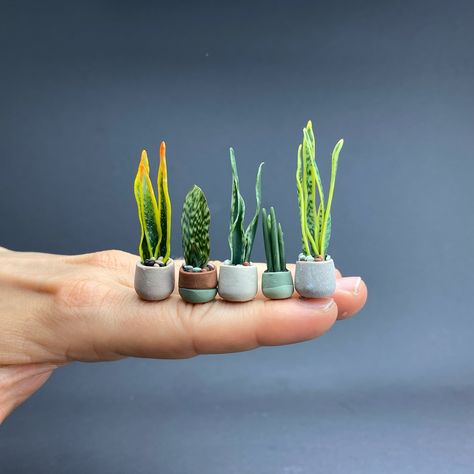 Sansevieria- the easiest way to get started with polymer clay canes for realistic plants. There are so many variations, patterns and colors. These are some of my first attempts from a few years ago. #polymerclaycreations #polymerclay #sansevieria #miniatur #miniatures #miniatureplants #dollshouseminiatures #polymerclayartist Polymer Clay Plants, Clay Plants, Oven Bake Polymer Clay, Bake Polymer Clay, Polymer Clay Ring, Polymer Clay Flower Jewelry, Polymer Clay Cane, Leaf Patterns, Garden Mini