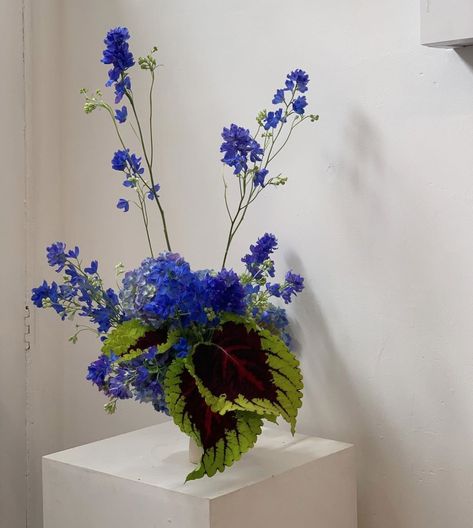 Delphinium Arrangement, Minimalist Flower Arrangement, Sogetsu Ikebana, Office Flowers, Blue Flower Wallpaper, Minimalist Wedding Decor, Blue Delphinium, Flower Arrangement Designs, Minimalist Flower