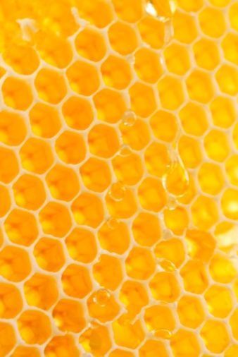 Yellow honeycomb image. - #MellowYellow #yellow #honey #bees Yellow Aesthetic Pastel, Yellow Submarine, Yellow Aesthetic, Aesthetic Colors, Colour Board, Natural Forms, Mellow Yellow, Happy Colors, Patterns In Nature