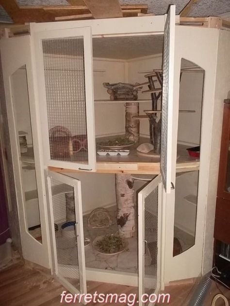 Hamster Diy Cage, Large Hamster Cages, Ferret Stuff, Ferrets Care, Squirrel Home, Sugar Glider Cage, Hamster Diy, Chinchilla Cage, Ferret Cage