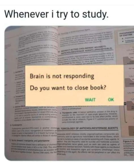 Exams Memes, Studying Funny, Studying Memes, Exams Funny, Exam Quotes, College Quotes, Exam Quotes Funny, Hilarious Jokes, School Quotes Funny