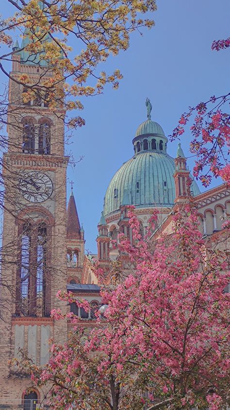 Vienna Aesthetic Wallpaper, Vienna In Spring, Vienna Wallpaper, Vienna Spring, Wien Aesthetic, Vienna Aesthetic, Vienna Waits For You, Vienna Travel, Spring Love