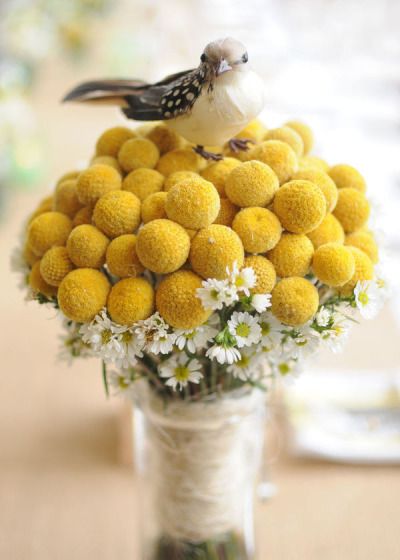 Billy Buttons Bouquet, Yellow Wedding Flowers, Billy Balls, Billy Buttons, Spring Yellow, Button Bouquet, Arrangement Ideas, Australia Wedding, Bouquet Wrap