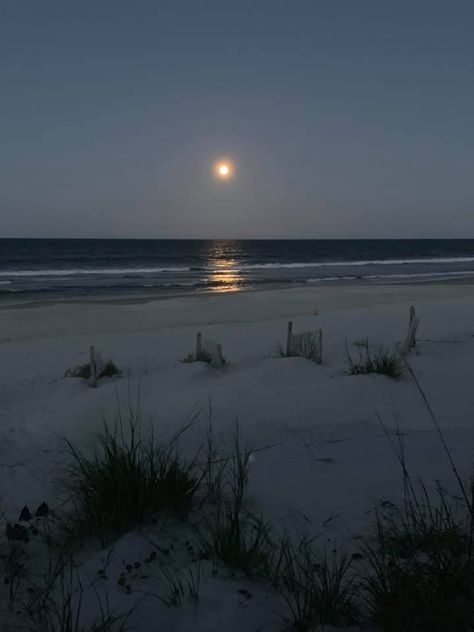 Beaches At Night, Summer At Night, Beach At Night Aesthetic, Beaches Aesthetic, Nature At Night, The Ocean At Night, The Beach Aesthetic, The Beach At Night, Night Ocean