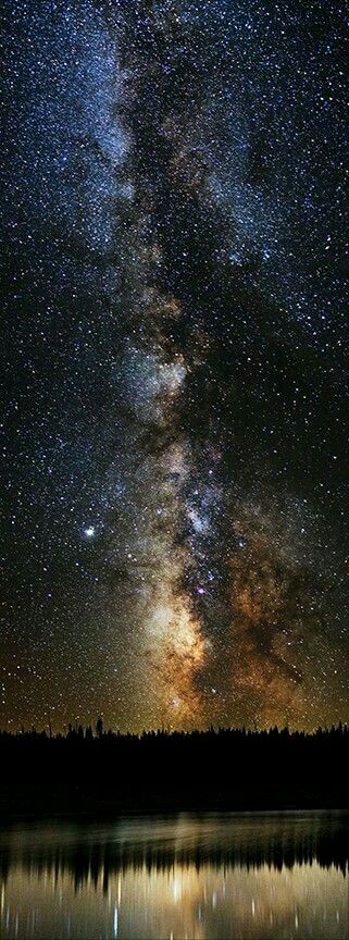 Cer Nocturn, Milky Way Galaxy, The Milky Way, To Infinity And Beyond, The Night Sky, Beautiful Sky, Science And Nature, Milky Way, Amazing Nature