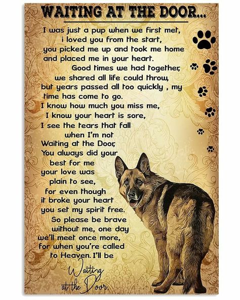 Door Canvas, Door Poster, Dog Quotes Love, Malinois Dog, Dog Heaven, At The Door, Shepherd Dogs, Canvas Print Display, Dog Memorial