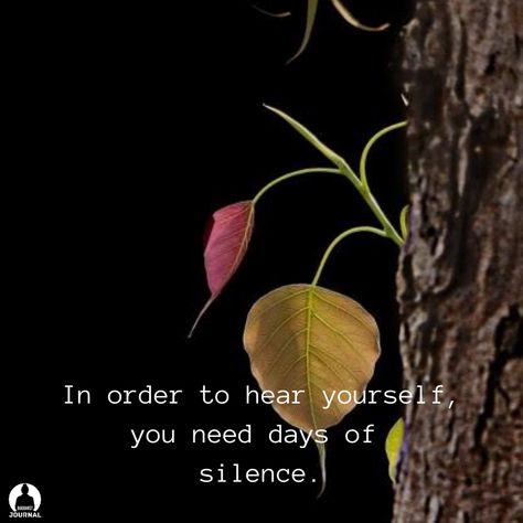 Quotes For Silence, Buddhist Quote, Day Of Silence, Philosophy Of Life, Buddha Quotes Inspirational, Gita Quotes, Buddhist Quotes, Buddha Teachings, Buddha Quote