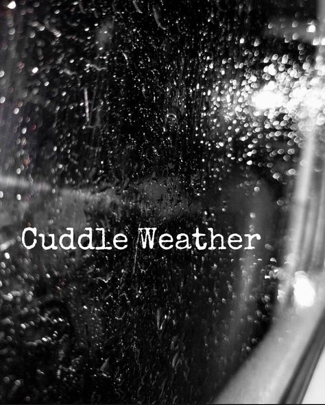 Cold Weather Cuddles, Cuddle Weather Aesthetic, Cuddles Quotes, Cuddling Gif, Cuddle Quotes, Rainy Day Quotes, Morning Gifs, Cuddle Weather, Cozy Rainy Day