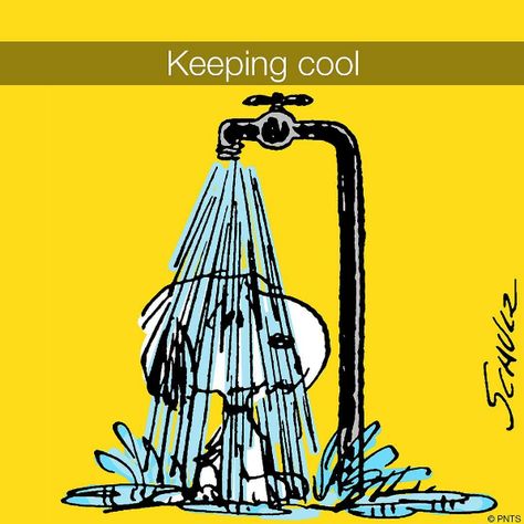 Stay cool out there! Cool Snoopy, Snoopy Cartoon, Snoopy Funny, Peanuts Cartoon, Peanuts Characters, Snoopy Quotes, Snoopy Pictures, Snoop Dog, Joe Cool