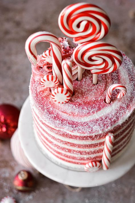 High Altitude Candy Cane Christmas Cake - Curly Girl Kitchen Candy Cane Cake, Homemade Christmas Cake, Peppermint Buttercream, Candy Cane Dessert, Christmas Birthday Cake, Vanilla Bean Cake, Candy Cane Recipe, Peppermint Cake, Vanilla Bean Cakes