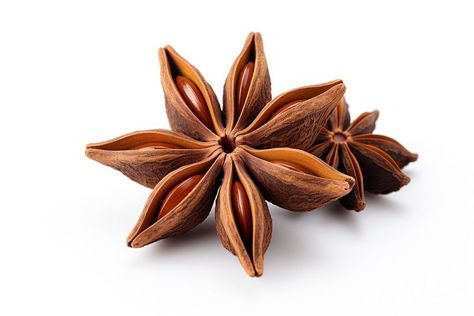 Star anise spice fruit food white background ingredient. AI generated Image by rawpixel. | free image by rawpixel.com Food White Background, Spiced Fruit, Anise Seed, Fruit Food, Star Anise, Star Images, Fruit Recipes, Free Image, Royalty Free Photos