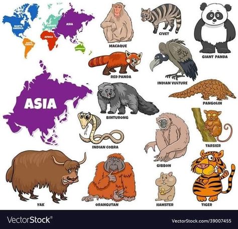 World Map With Continents, Continents Activities, Asian Animals, World Map Continents, Asian Continent, Geography For Kids, Educational Illustration, Montessori Practical Life, Preschool Activities Toddler