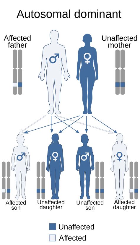 Digeorge Syndrome, Multiple Endocrine Neoplasia, Genetic Inheritance, Von Willebrand Disease, Candida Yeast Infection, Health Literacy, Candida Yeast, Ketogenic Diet Food List, Candida Diet