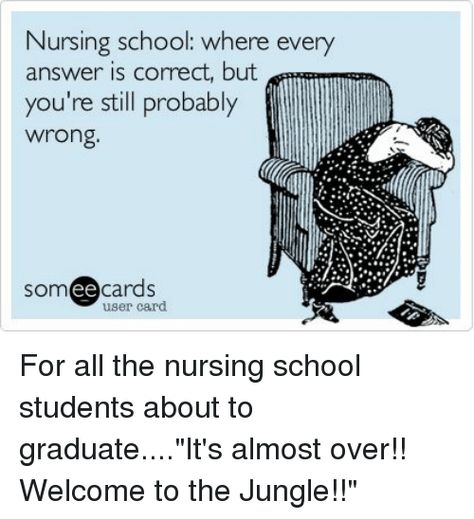 Nursing School Memes |    Save, Comment, Share |  #nurse #nurses #nurseia #nurseproductreview #nursecommunity #nurseonlinecommunity #nursing #realnurse #nursepractitioner #job #hiring #nurserydecor #nurseia #nurseonlinecommunity #nursesrock #nursesofinstagram #nursehumor #nightnurse #nurselife  #nursesunited Nursing School Memes, Community Nursing, Night Nurse, Job Hiring, Welcome To The Jungle, School Memes, Nurse Practitioner, Nurse Humor, Nurse Life