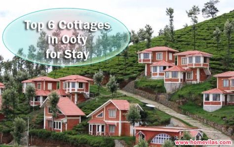 Top Six Cottages in Ooty for Stay – homevilas – Medium Green Resort, Ooty, Beautiful Cottages, Budget Hotel, Forest House, Tourist Places, Holiday Packaging, Vacation Packages, India Travel