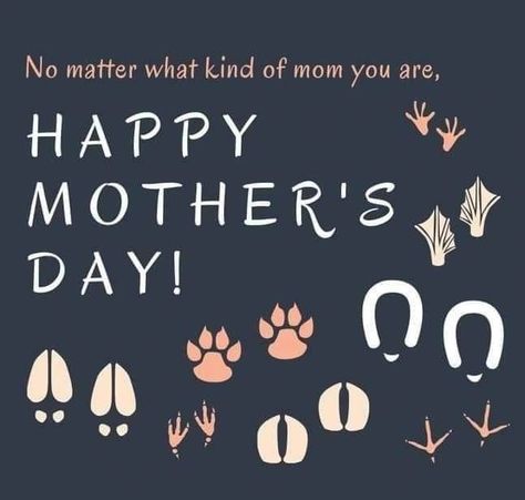 Pet Mom Quotes, Fur Baby Quotes, Mother's Day Images, About You Quotes, Happy Easter Quotes, Dog Mothers Day, Scorpio Girl, Mothers Day Images, Happy Mother Day Quotes