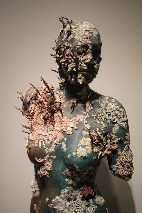 Damien Hirst Sculpture, Decay Art, Underwater Sculpture, Body Paintings, Growth And Decay, Mannequin Art, 3d Figures, Bio Art, Damien Hirst