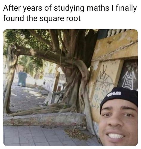 Math Memes Funny, Science Memes Funny, Math Student, Studying Memes, Nerd Jokes, Math Jokes, Student Humor, Math Humor, Memes Br