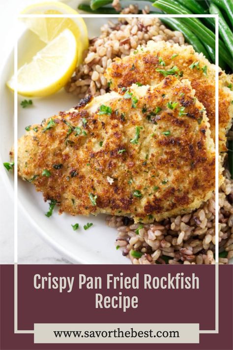 Pan Fried Rock Fish Recipe, Rick Fish Recipes, Rock Fish Fillet Recipe, Fried Rockfish Recipes, Rock Fish Recipe Air Fryer, Rockfish Recipes Pan Seared, Rockfish Recipes Baked, Rockfish Recipe, Alaskan Recipes