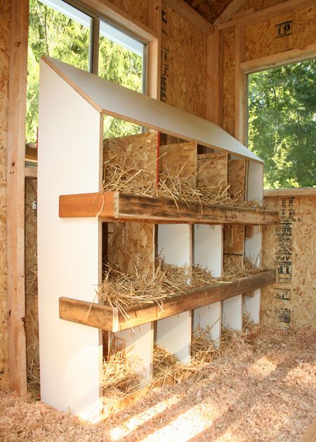 Nesting Box and the chicken coop and run they build is amazing!!!!   Costco barn tarps for winter! Coop Nesting Boxes, Chicken Coop Nesting Boxes, Building Chicken Coop, Reban Ayam, Fancy Pigeons, Chicken Coup, Chicken Nesting Boxes, Coop Design, Chicken Coop Designs