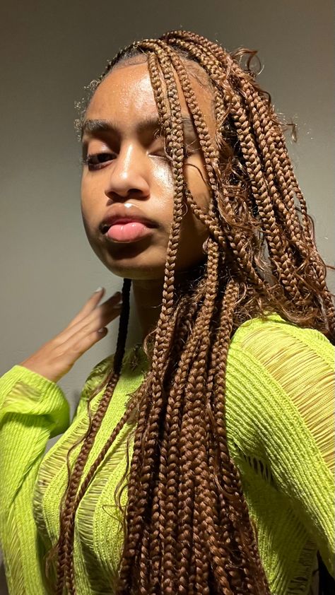 Honey Brown Braids On Dark Skin, Brown Braids On Dark Skin, Braids Hairstyles Curly, Honey Brown Braids, Coloured Braids, Highschool Dream, Brown Braids, Hair Braid Designs, Braids Ideas