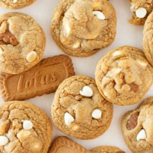 Easy Homemade Biscoff Cookies with a Cake Mix - Practically Homemade Cookie Butter Cookies Recipe, Peanut Butter Cake Mix Cookies, Homemade Biscoff, Biscoff Cookie Recipe, Homemade Cookie Butter, Cookie Butter Cookies, Practically Homemade, Easy Homemade Cookies, Biscoff Cake