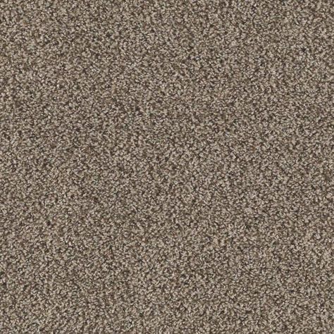 New Today -  Everything You Need to Know About Triexta Carpet metrogaragedoor.com Carpet For Family Room, Dreamweaver Carpet, Smartstrand Carpet, Farmhouse Carpet, Frieze Carpet, Mohawk Carpet, Bedroom Paint Colors Master, Dark Carpet, Nampa Idaho