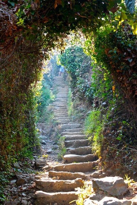 Enchanted Wood, Pretty Images, Open The Door, John Muir, You Know It, Background Pictures, Abandoned Places, What You See, Beautiful World