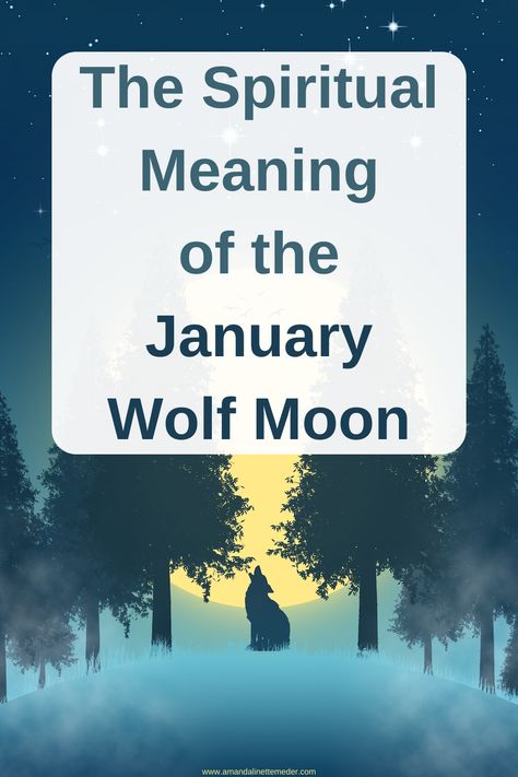 The Spiritual Meaning of the January Wolf Moon — Amanda Linette Meder Wolf Moon Ritual, January Full Moon, Full Moon Meaning, Full Moon In Leo, Full Moon Meditation, Moon Meaning, Moon In Leo, Howl At The Moon, Wolf Moon