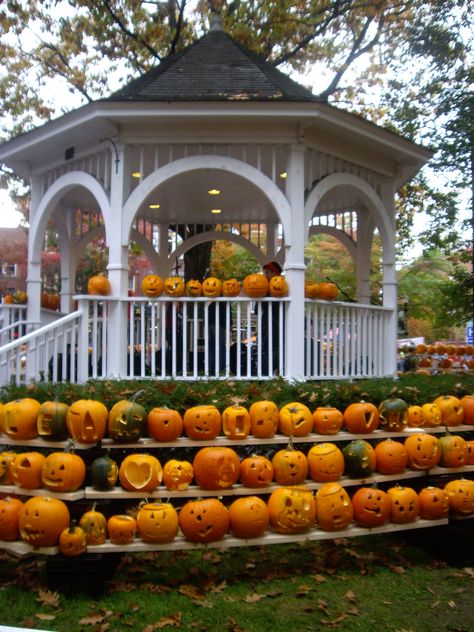 Keene Nh, Pumpkin Patch, Gazebo, Travel