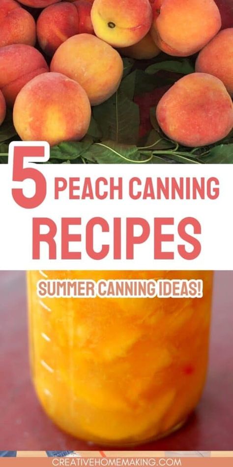 Looking for delicious peach canning recipes to try this season? Check out our top 5 recipes that are sure to satisfy your taste buds. From classic peach jam to unique combinations like elderberry peach jam and spiced peach jam, these recipes are perfect for enjoying the flavors of summer all year round. Plus, with the convenience of canning, you can easily store and enjoy these recipes whenever you want. Don't miss out on these delicious peach canning recipes! Canning Recipes Peaches, Spiced Peaches Canning Recipe, Pickled Peaches Recipes, Peach Recipes For Canning, Peach Canning Recipes, Peach Jam Recipe Canning, Canned Peaches Recipes, Canning Peaches Recipes, Canning Peach Pie Filling