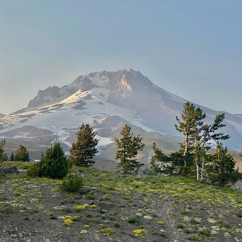 Views from Timberline Lodge, Mt Hood oregon Oregon Aesthetic, Mt Hood Oregon, Timberline Lodge, Visit Oregon, Tyler The Creator Wallpaper, Mt Hood, Oregon Travel, Months Of The Year, 5 Hours