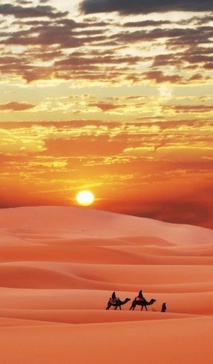 Top 10 Most Hauntingly Beautiful Sunsets You’ll Ever See-Sahara Desert Sunset. Sunset Captions For Instagram, Desert Vacation, Desert Pictures, Sunset Captions, Deserts Of The World, Mountain Canvas, Desert Sunset, Best Sunset, Gorgeous Sunset