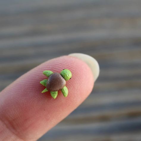 Polymer Clay Turtle, Clay Turtle, Tiny Turtle, Clay Baby, Clay Figures, In The Beginning, Polymer Clay Art, Have A Nice Day, Art Handmade