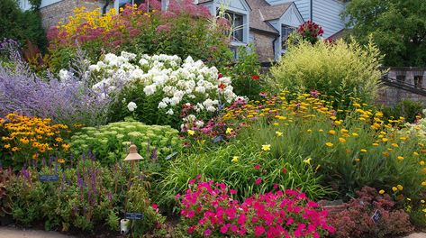 About the Master Gardener volunteer program | UMN Extension Volunteer Programs, Master Gardener, Plant Design, Native Plants, The Master, Minnesota, Plants, Design