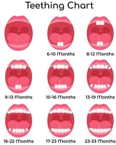 Teething Chart, Baby Guide, Baby Information, Newborn Baby Tips, Newborn Mom, Baby Life Hacks, Baby Facts, Baby Planning, Baby Care Tips