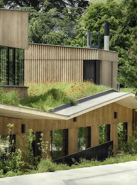 Paul Chevallier School by Tectoniques Eco Architecture, Living Roofs, Wooden Buildings, Green Architecture, Rooftop Garden, Roof Garden, Sustainable Architecture, Roof Design, Green Roof