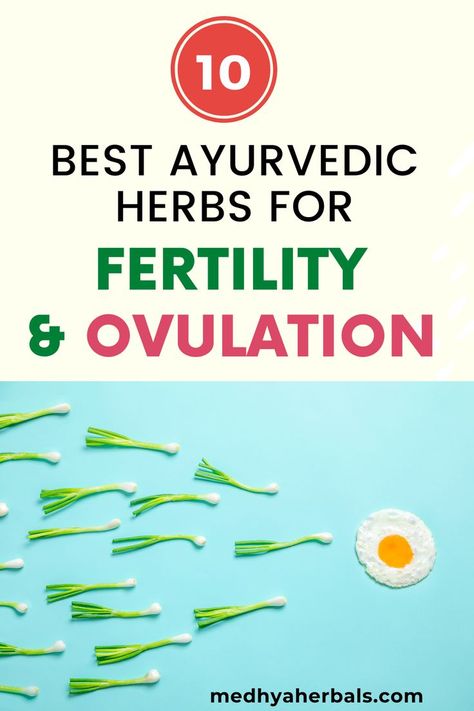 Herbs For Fertility, List Of Herbs, Fertility Tea, Help Getting Pregnant, Getting Pregnant Tips, Fertility Yoga, Ayurvedic Diet, Ayurvedic Therapy, Fertility Foods