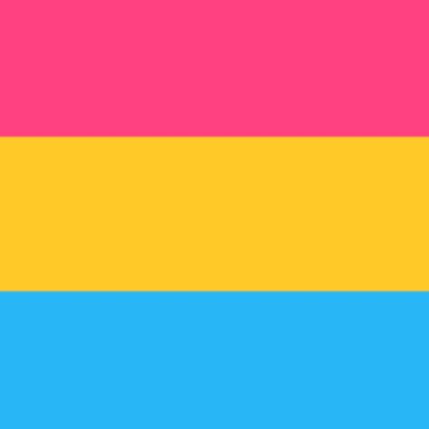 Pride Flag Pfp, Pfp Base, Pan Pride Flag, Pan Flag, Butch Lesbian, Pan Pride, Pansexual Flag, Lgbt Flag, Lgbtq Flags