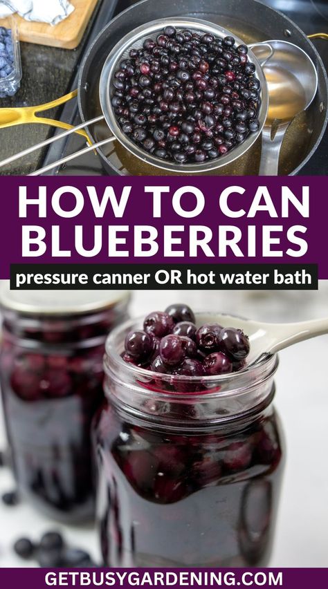 Learning how to can blueberries at home is easy with this guide. Preserve your garden harvest, grocery store or farmer’s market produce. Follow my step-by-step instructions for safely canning fresh or frozen blueberries with a pressure canner or hot water bath. Get my tips for success including hot or raw packing, brine options, proper processing, preparation methods, and storage. Canned blueberries are delicious in your favorite dessert recipes like pies, crisps, and tarts. #blueberryrecipes Fermented Blueberries, Canning Blueberries, Probiotic Recipes, Fermenting Vegetables, Fermented Recipes, Preparedness Ideas, Lacto Fermented, Preserving Recipes, Paleo Sauces