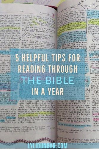 Bible In A Year Plan, Tips For Reading, Prayer Journal Template, Year Bible Reading Plan, One Year Bible, Bible In A Year, Free Bible Study, Bible Study Plans, Understanding The Bible