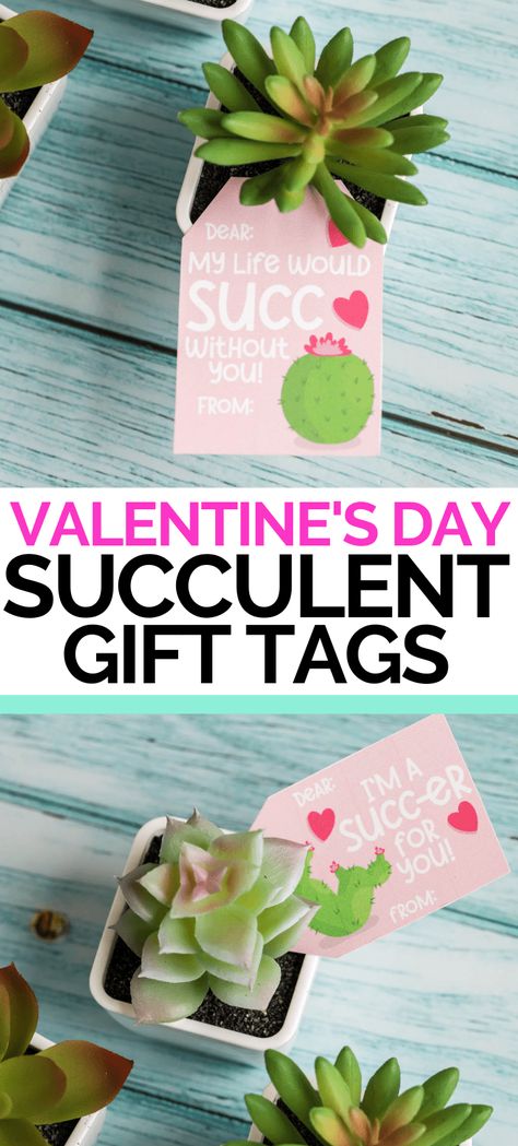 Download these funny succulent gift tags and print from home in minutes. Pair these Valentine gift tags with individual succulents to surprise someone special. #ValentinesDay #ValentinesDayCards #GiftTags #Succulents #ValentinesDayGiftTags Succulent Gift Tag Free Printable, Valentines Succulent Gifts, Succulent Valentine Ideas, Plant Valentines, Valentine Gift Tags, Valentines Day Puns, Valentines Puns, Star Wars Valentines, Punny Valentines