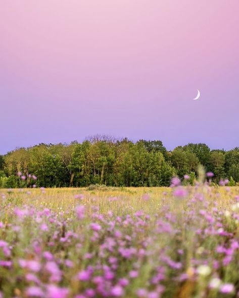 Purple Flowers Aesthetic, Mom Painting, Purple Board, Glitter Ideas, Fantasy Settings, Purple Skies, Dusk Sky, Aesthetic Moon, Pink Skies