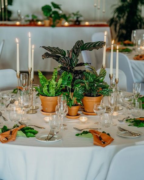 Nook Houseplants on Instagram: "W E D D I N G • P L A N T S 🌿 • Our wedding diary for the year is now open! If you’re looking for a more sustainable option for your big day then why not consider one of our wedding plant packages? Potted plants available for hire by the day or for purchase, ready to gift to your guests as a special keepsake 💚 Drop us a DM to find out more! • 📸 @clarekinchinphotography from a lush shoot @dartmoorzoo 😍" Wedding Plants, Wedding Diary, Now Open, Potted Plants, Nook, Big Day, Lush, Sustainability, Our Wedding