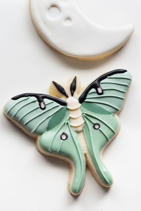 Moth Cookies, Animal Food, Desserts To Make, Fort Collins, Moth, Food Ideas, Enchanted, Sugar Cookie, Fort