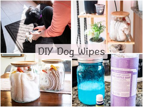 Dog Wipes, Wipes Diy, Wrinkle Dogs, Essential Oils Dogs, Puppy Diy, Diy Dry Shampoo, Antibacterial Wipes, Dog Remedies, Pet Wipes