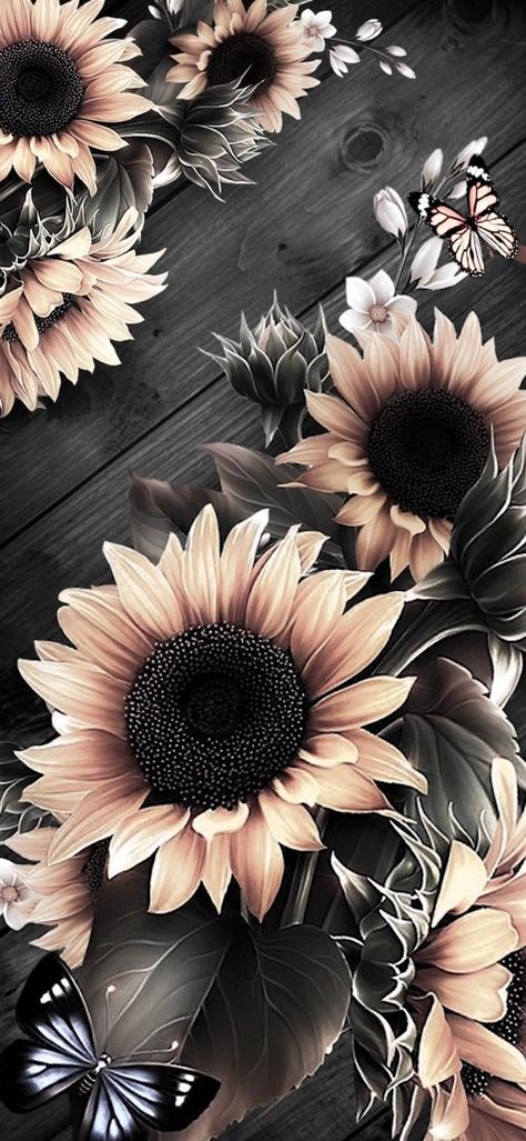 Pin by Melu Vazquez on Flowers Wallpaper in 2022 | Sunflower iphone wallpaper, Beautiful wallpapers for iphone, Vintage flowers wallpaper Wallpaper Iphone, Butterflies, Sunflower, Iphone Wallpaper, I Hope, Wallpapers, Iphone